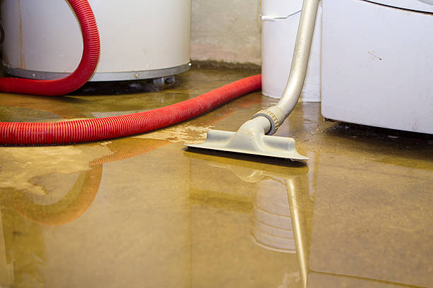 Sumner, WA Water damage restoration Company