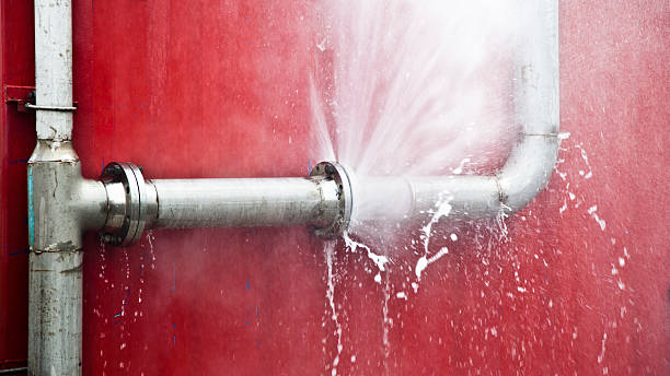Best Mold removal after water damage  in Sumner, WA